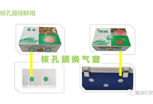 核孔膜果蔬保鲜箱有哪些特点